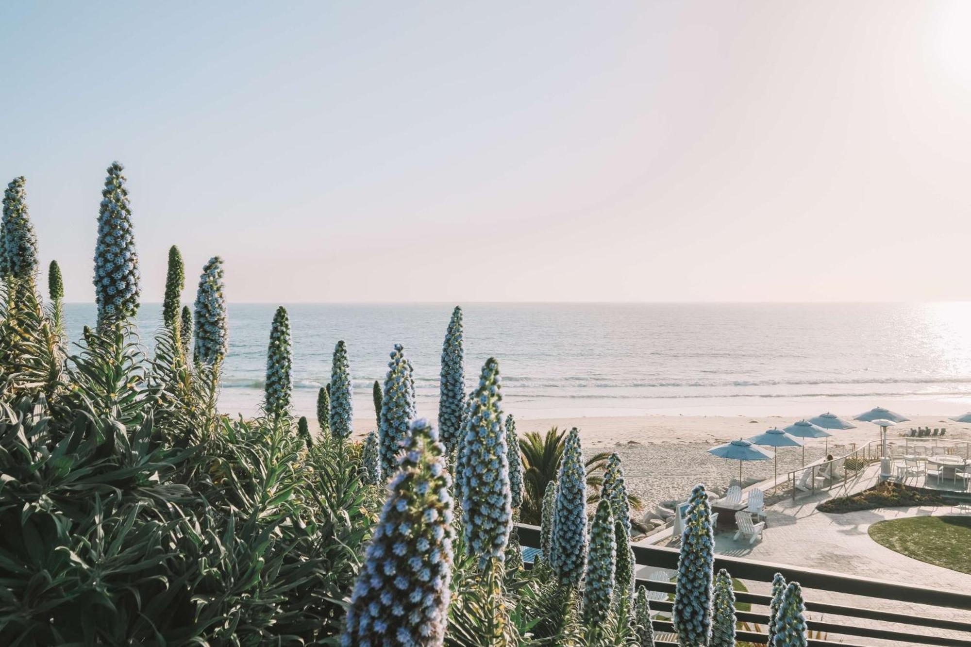 Waldorf Astoria Monarch Beach Resort & Club Dana Point Exterior photo